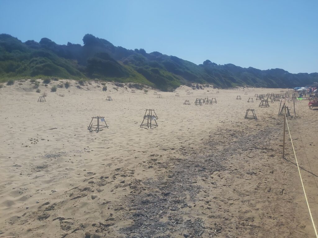 pro e contro vacanza a zante