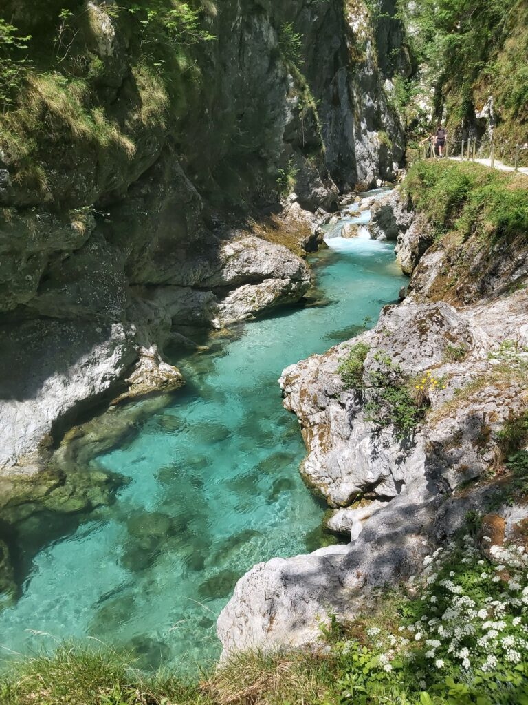 isonzo azzurro