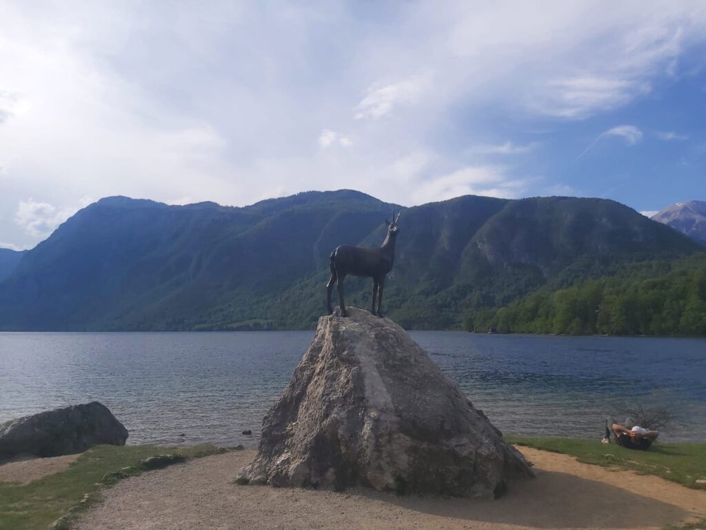 Due laghi da vedere vicino a Lubiana