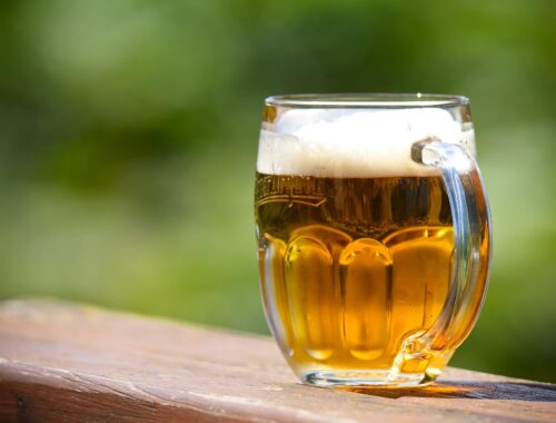 fontana della birra zalec slovenia