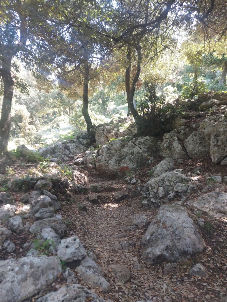passeggiate da fare nei luoghi FAI