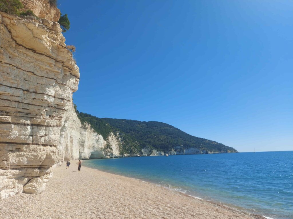 come raggiungere spiaggia vignanotica gargano