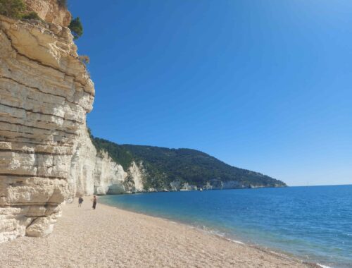 come raggiungere spiaggia vignanotica gargano